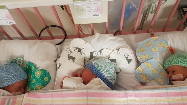 The Collins triplets in their crib at Mater Mothers back in 2018. Today they are ready to take their first steps into the education system and will start prep at Ormiston State School. Picture: Contributed.