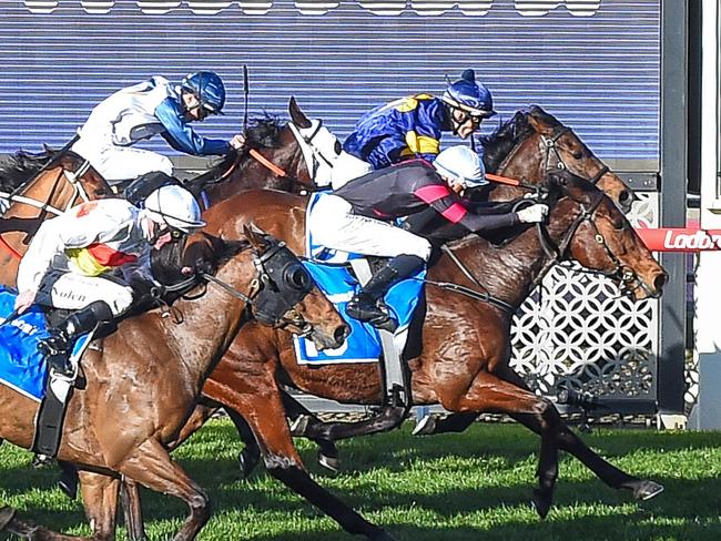 Cavallo Rampante ridden by Michael Dee wins the Earthcare Handicap at Moonee Valley Racecourse on August 10, 2024 in Moonee Ponds, Australia. (Photo by Reg Ryan/Racing Photos)