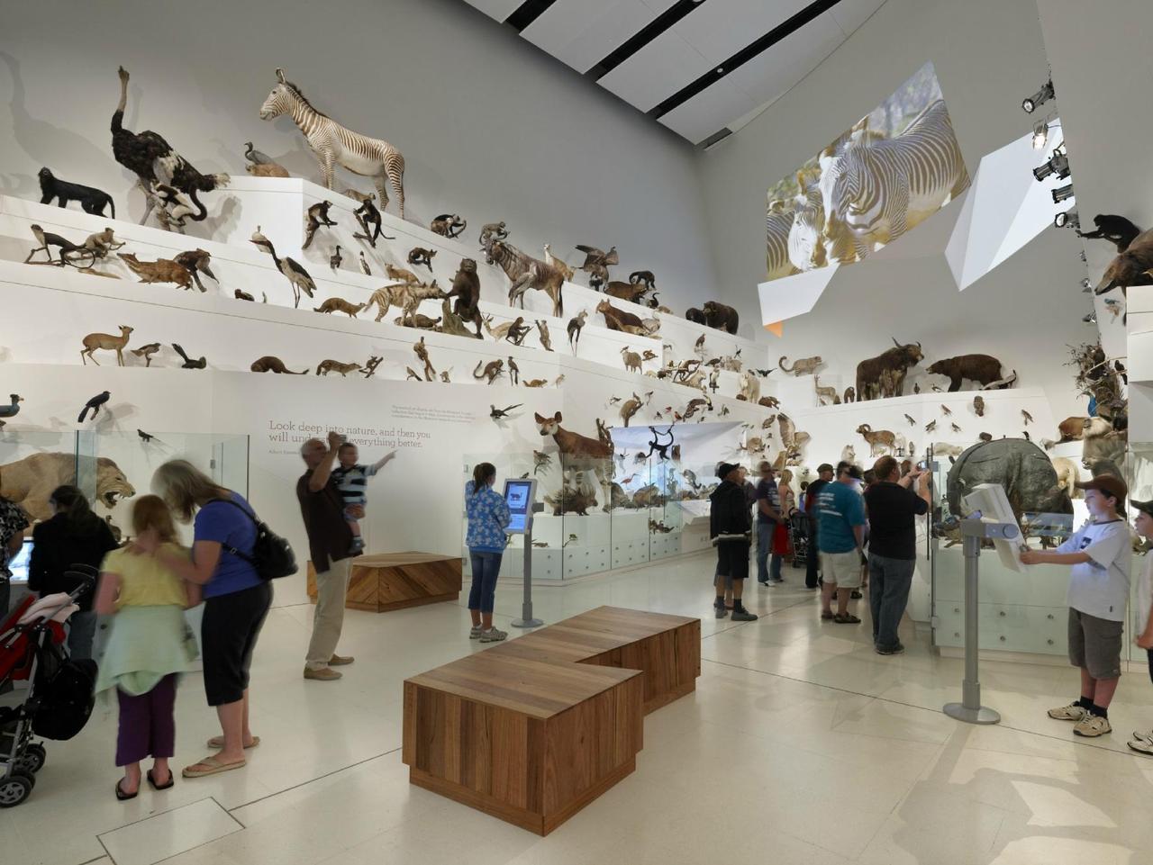 Australia s top 10 museums of 2022 according to Australia s top 10 museums of 2022 according to