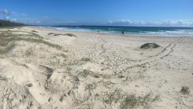 Sea turtle nests are under threat from increased tides and erosion of their nests. Picture: supplied