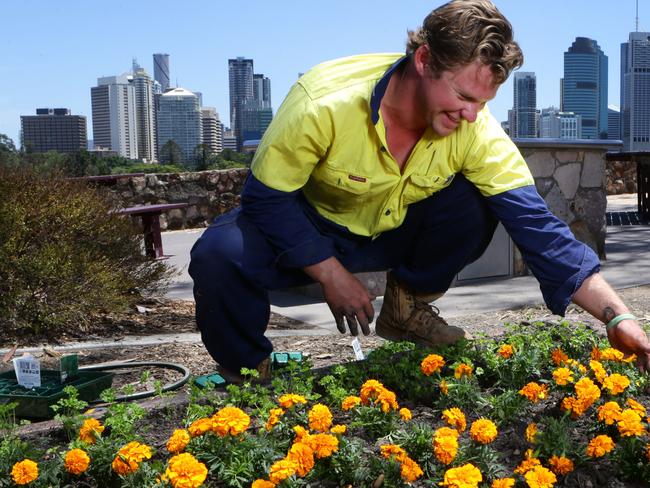 Brisbane City Council gardener Alex Townsend plants flowers ahead of the event. Picture: Darren England.