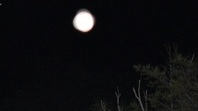 An image of one of the mysterious UFO lights shining on the outskirts of Mount Isa.