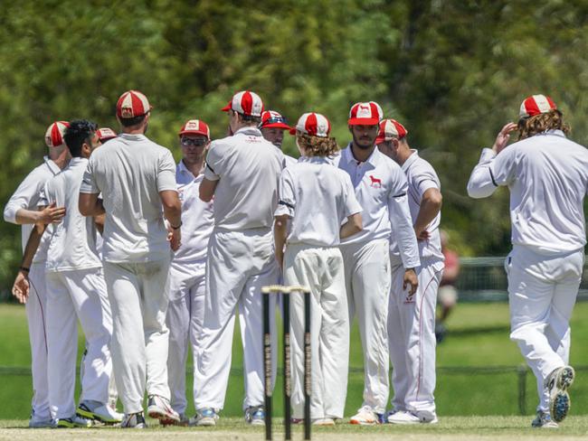 Happy Hounds after another Aspendale wicket.