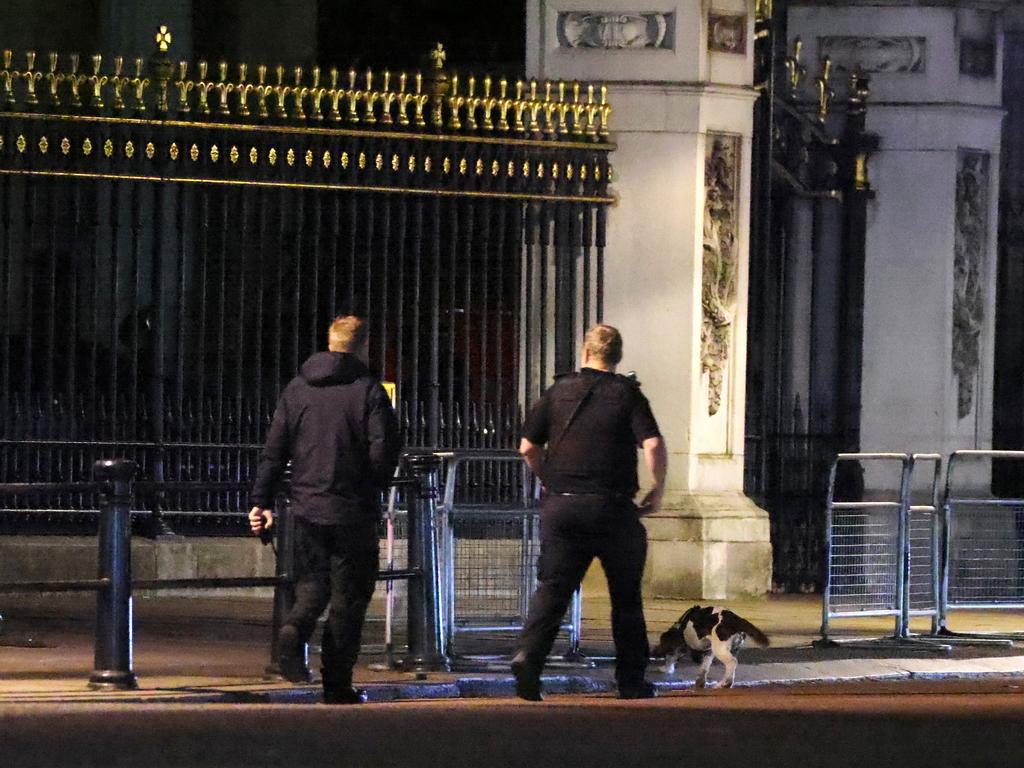 A police sniffer dog at the scene outside the palace. Picture: Belinda Jiao/Getty Images