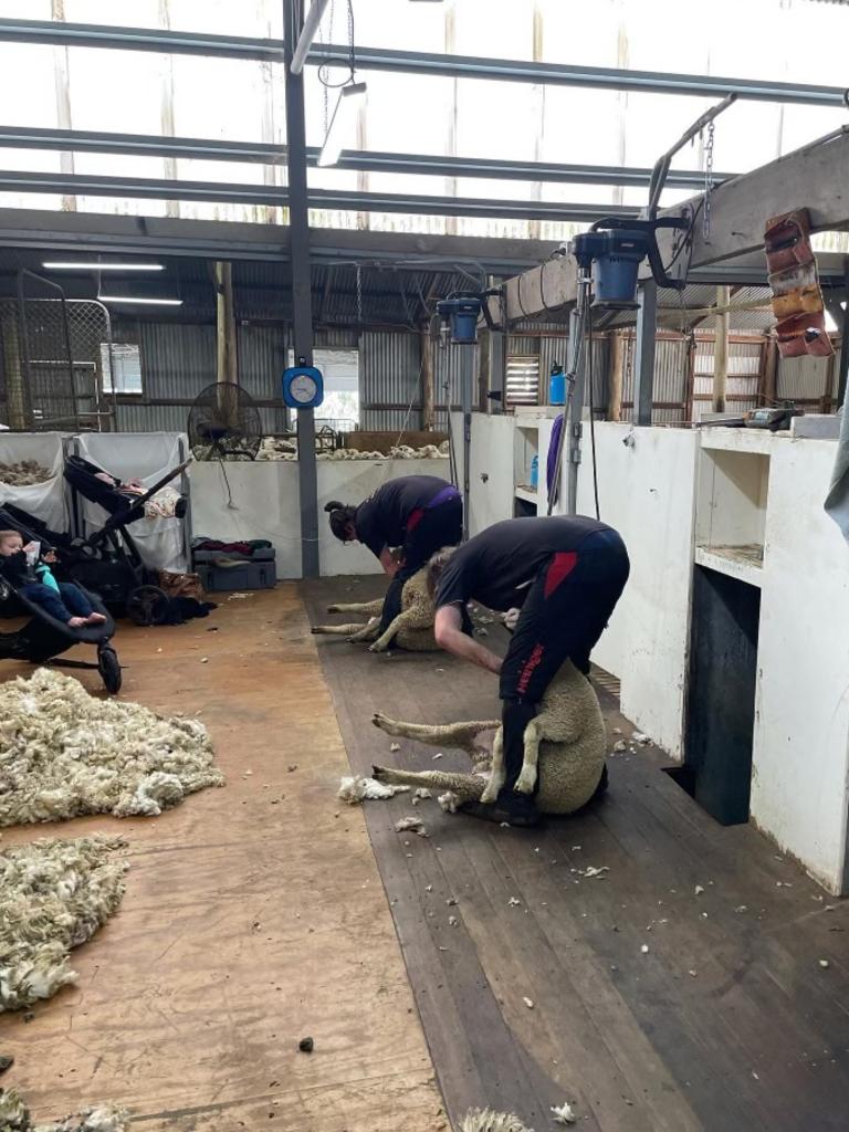 The pair started shearing company Arno Bay Shearing which became a travelling shearing company in May 2024. Picture: Supplied by family