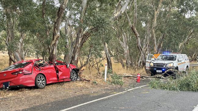 A man has died after a tree branch fell on his car while he was driving on Torrens Valley Road at Mount Pleasant. Picture: Nine News