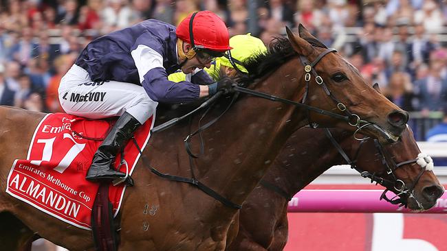 Last year’s Melbourne Cup winner Almandin is equal favourite to defend his crown. Picture: Ian Currie