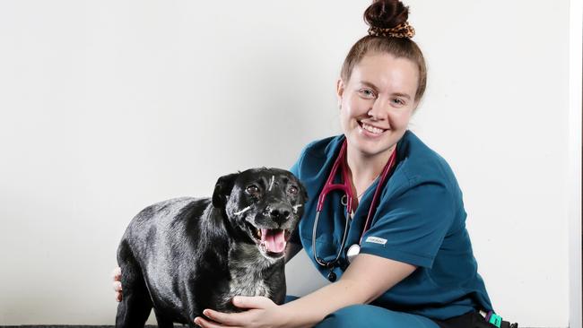 Intensive Care Veterinary Technician Tori Brown with house fire surviver dog Henrietta. Picture: Liam Kidston.