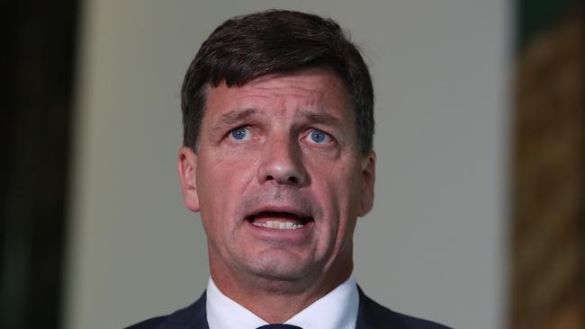 Energy Minister Angus Taylor.