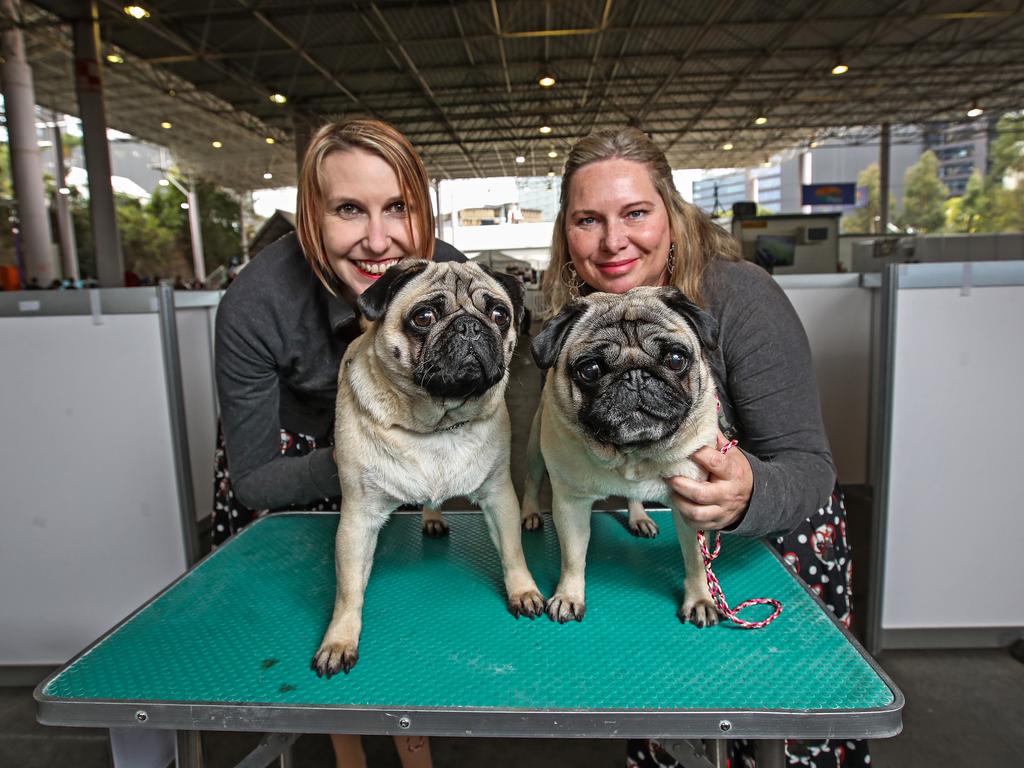 Brit Houldsworth, with pug Mintie, 2, and Korine Lewis with pug Emmy Lou, 6, during the Ekka dog show. Picture: Zak Simmonds