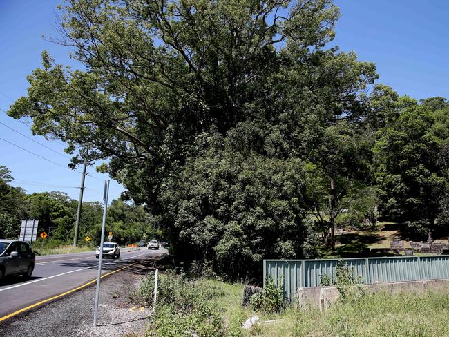 Lisarow Cemetery is screened from the highway by large trees, which will be removed and new trees planted. (AAP Image/Sue Graham)