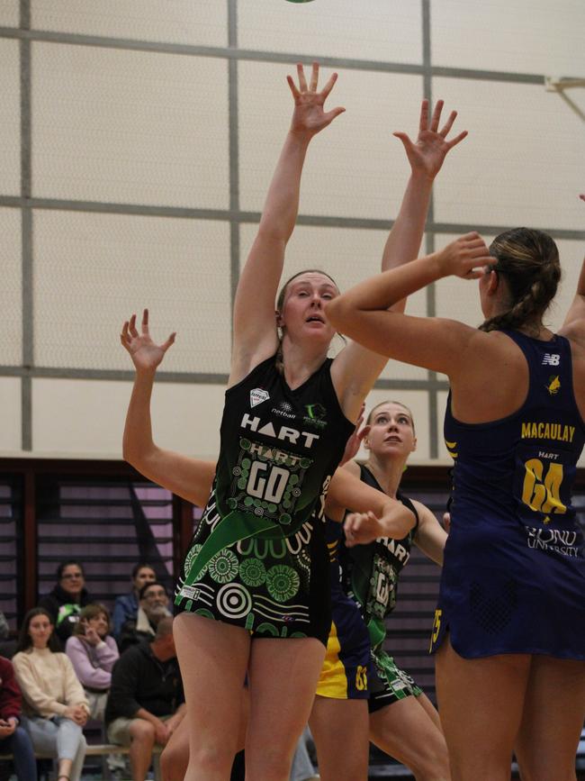 HART Sapphire Series round 1 2024 (Ruby) Darling Downs Panthers v Bond University Bull Sharks Netball