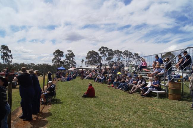 Crowds gather to watch tractor show at Queensland Heritage Rally hosted by Kingaroy and District Vintage Machinery Club Inc