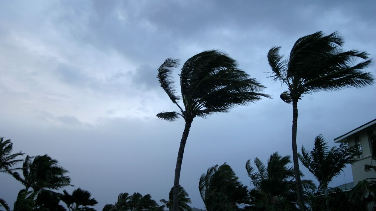 Tropical cyclone Freddy forms off Western Australia with three more storms on the horizon