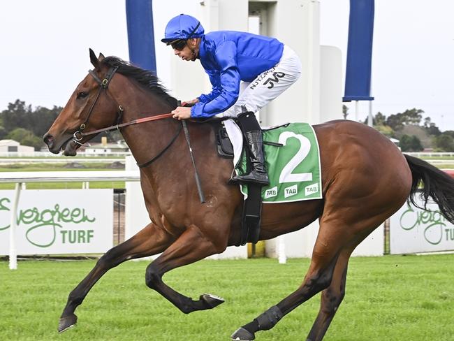 Kerguelen cruises to the line to win his debut at Kembla Grange on Saturday. Picture: Bradley Photos