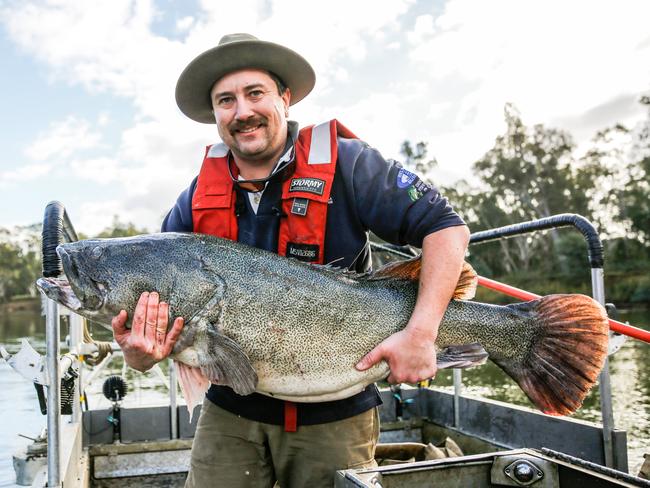 How to catch Murray Cod and Golden Perch 