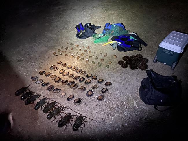 Two men were apprehended by Batemans Bay Fisheries Officers late on Sunday evening on the 26th of June allegedly in joint possession of a large quantity of Abalone, Eastern Rock Lobster, Sea Urchins and other mixed molluscs illegally taken from the North Head Habitat Protection Zone of the Batemans Marine Park. Picture: NSW DPI