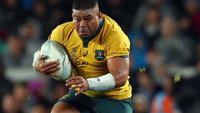 Hooker Tolu Latu is set to become available for Wallabies selection again.