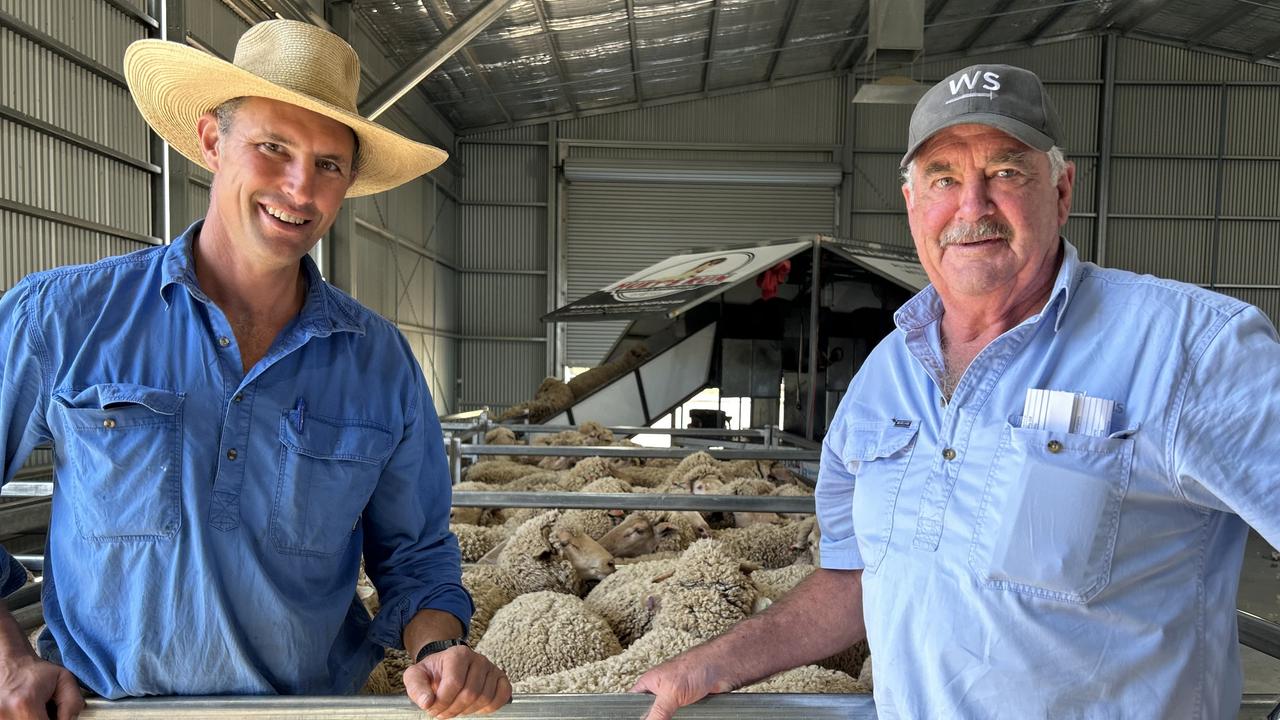 Genetics prove key to sheep profit success