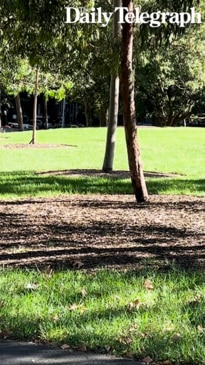 New asbestos alert in 3 Sydney parks