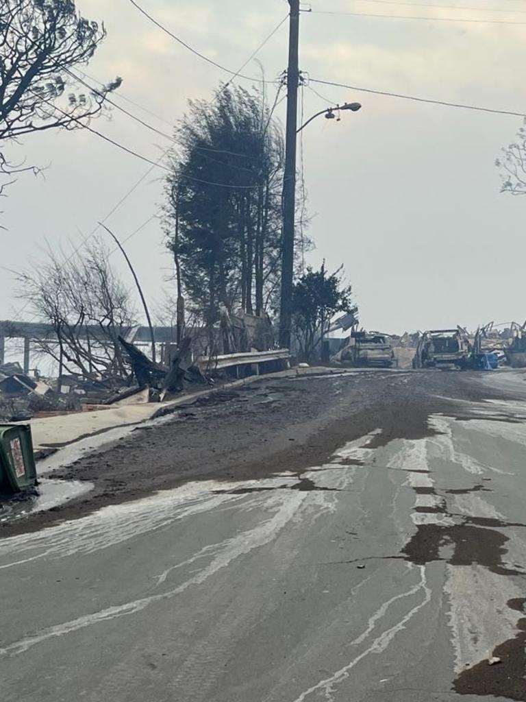 The Devins’ Pacific Palisades home (at the end of the street) was destroyed.