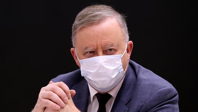 Opposition Leader Anthony Albanese. Picture: Dylan Coker