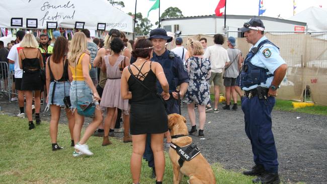 A police detection dog in action at last year’s festival. Picture: Lauren Riley