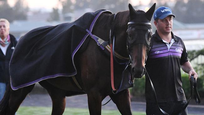 Hugh Bowman believes Winx will face her toughest test in almost two years when she lines up in the Queen Elizabeth Stakes on Saturday. Picture: AAP