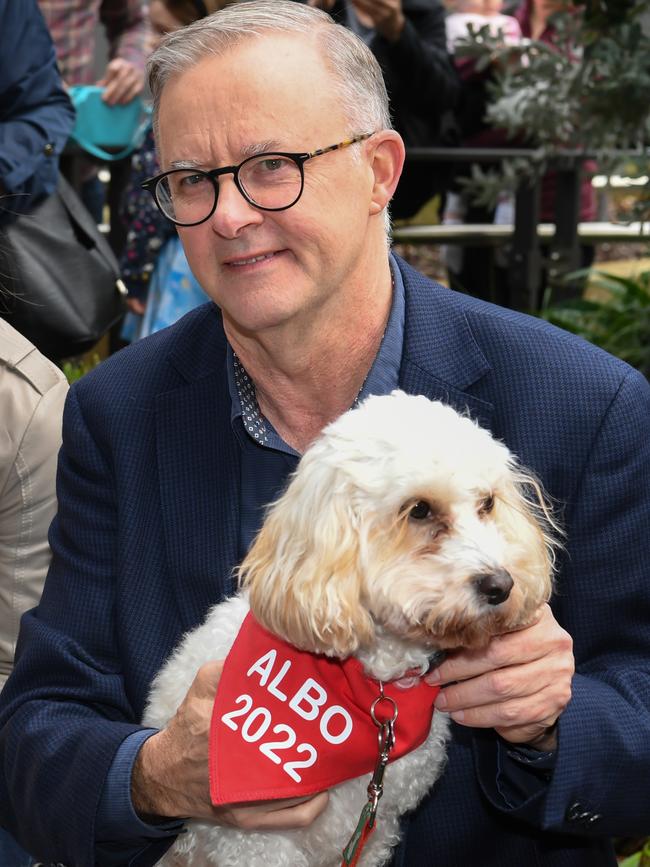 Prime Minister-elect Anthony Albanese holds his dog Toto as he shares a coffee with friends near his home on May 22, 2022 in Sydney, Australia. Picture: James D. Morgan/Getty Images