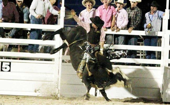 Chinchilla cowboy Anthony Ellem on Rockstar competes in the bull ride during the National Rodeo Association National Finals Rodeo at Brothers Leagues Club. Picture: Contributed