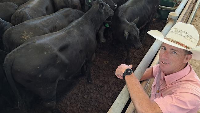 Elders Finley agent James Kennedy with some of the young heifers from client Kiamungie at Tocumwal which sold to $1470 at Wangaratta today.