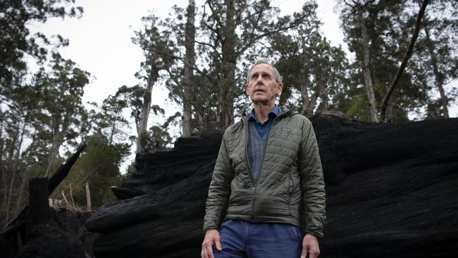 Bob Brown in logged area of Tasmanian southern forests, home to critically endangered swift parrot. Picture: BOB BROWN FOUNDATION