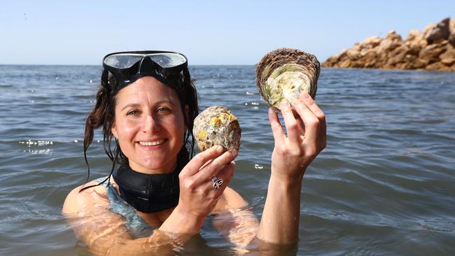 Anita Nedosyko from The Nature Conservancy which seeded seven million oysters on its artificial reef near Ardrossan. Picture: Tait Schmaal