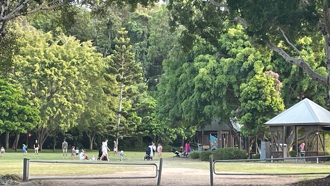 The Noosa Heads Lions Park. Picture: Contributed