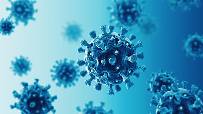 The virus had a devastating toll on many. Picture: iStock