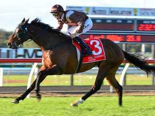 VICTOR: Josh Parr steers Supply and Demand to first place in the Caloundra Cup at Corbould Racecourse. Picture: John McCutcheon