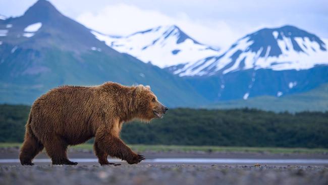 Great Bear drilling is just around the corner. Pic: Getty Images