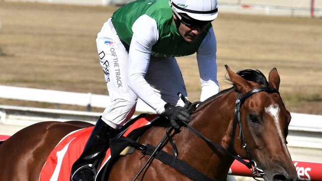 The Inevitable (David Pires) winning the 2023 Hellova Street Stakes in Launceston. Photo: Tasracing