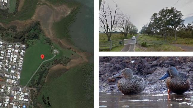 An aerial view of the site showing its proximity to the bay and the two dams; top, the site’s front gate; and a male and female Australasian shovellers on the northern dam in 2018. (Photo courtesy of Redlands 2030)