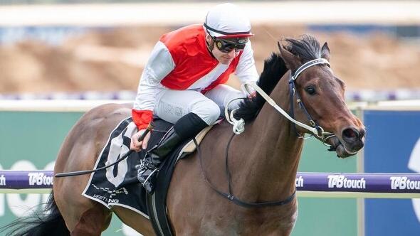 Horcrux when winning on debut at Belmont for trainer Simon Miller. Picture: Western Racepix.