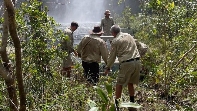 Rangers caught a 3.5m saltwater crocodile at Wangi Falls. Picture: Supplied