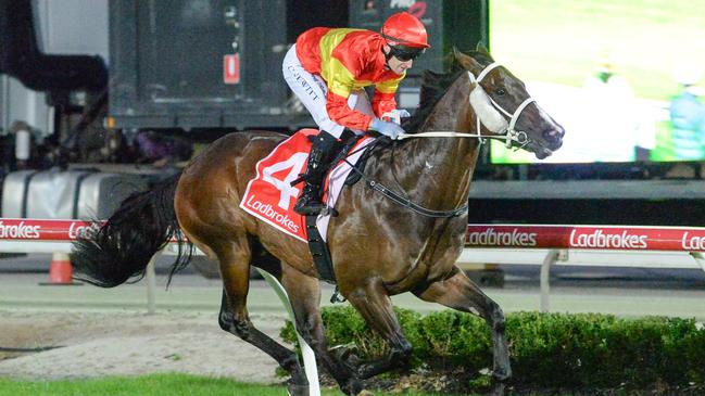 Night People and jockey Craig Newitt will chase their second win together in the last race of Friday night’s Cranbourne meeting. Picture: Racing Photos