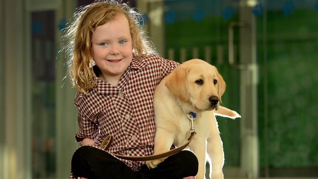 Seeing Eye Dog Australia holds Kensington school holiday program ...