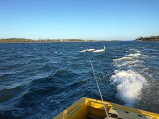 A man and woman were rescued from a catamaran which flipped on the Richmond River at Ballina on Saturday night. Picture: Surf Life Saving NSW