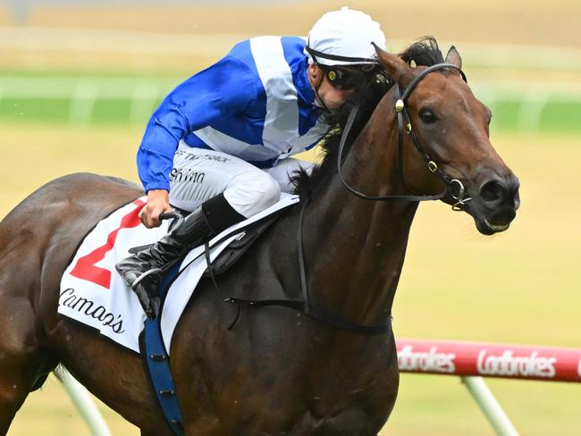 MELBOURNE, AUSTRALIA - FEBRUARY 25: Blake Shinn riding Alligator Blood winning Race 8, the Lamaro's Hotel Futurity Stakes, the Ladbrokes Blue Diamond Stakes,  during Melbourne Racing at Sandown Lakeside on February 25, 2023 in Melbourne, Australia. (Photo by Vince Caligiuri/Getty Images)