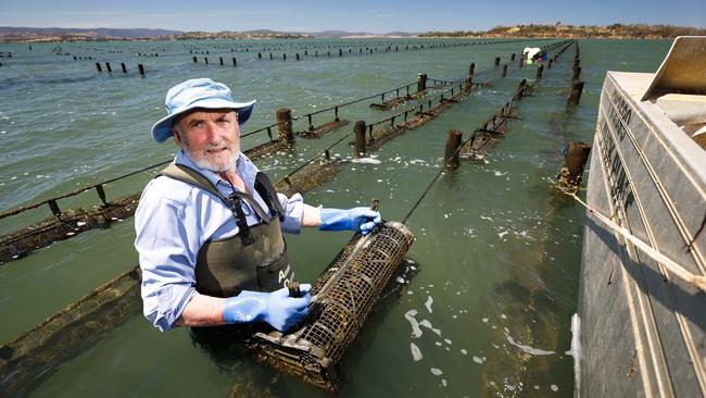 Pittwater oyster farmer Frank Kennedy. Picture: PETER MATHEW