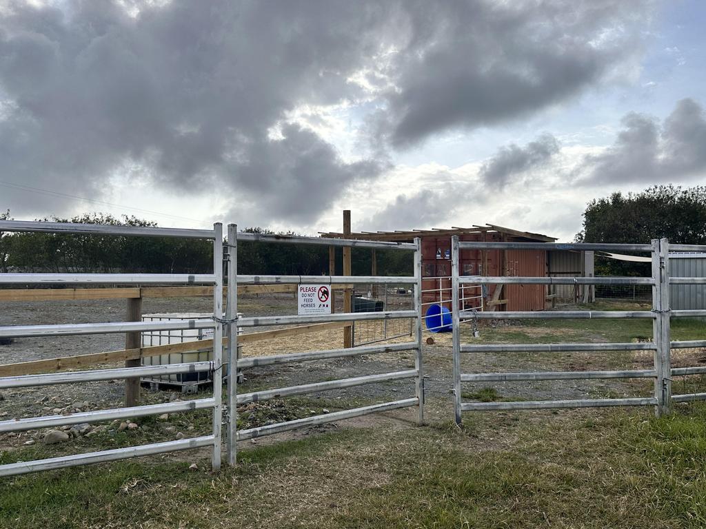 Stocksquad officers are investigating after a horse belonging to an Andergrove family was deliberately killed in a paddock on Beaconsfield Rd. Picture: Heidi Petith