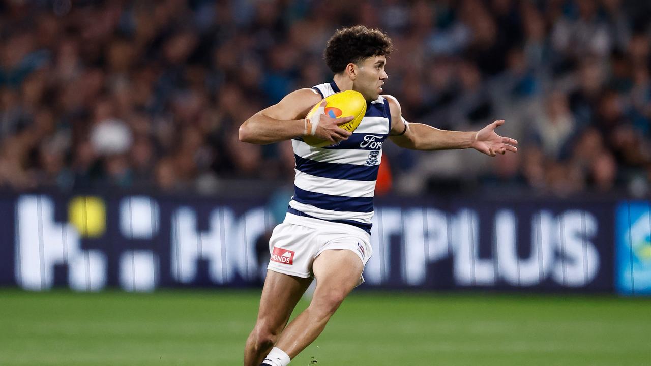 Tyson Stengle was involved in a un-Geelong-like story earlier in the year. Photo by Michael Willson/AFL Photos via Getty Images