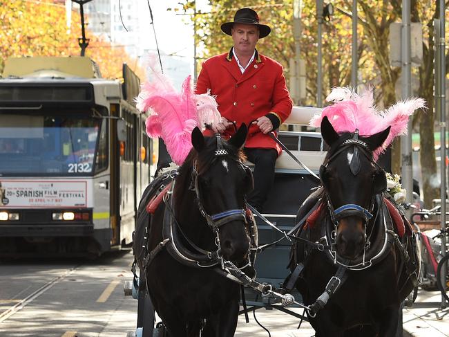 Controversial horse-drawn carriages could be reined in