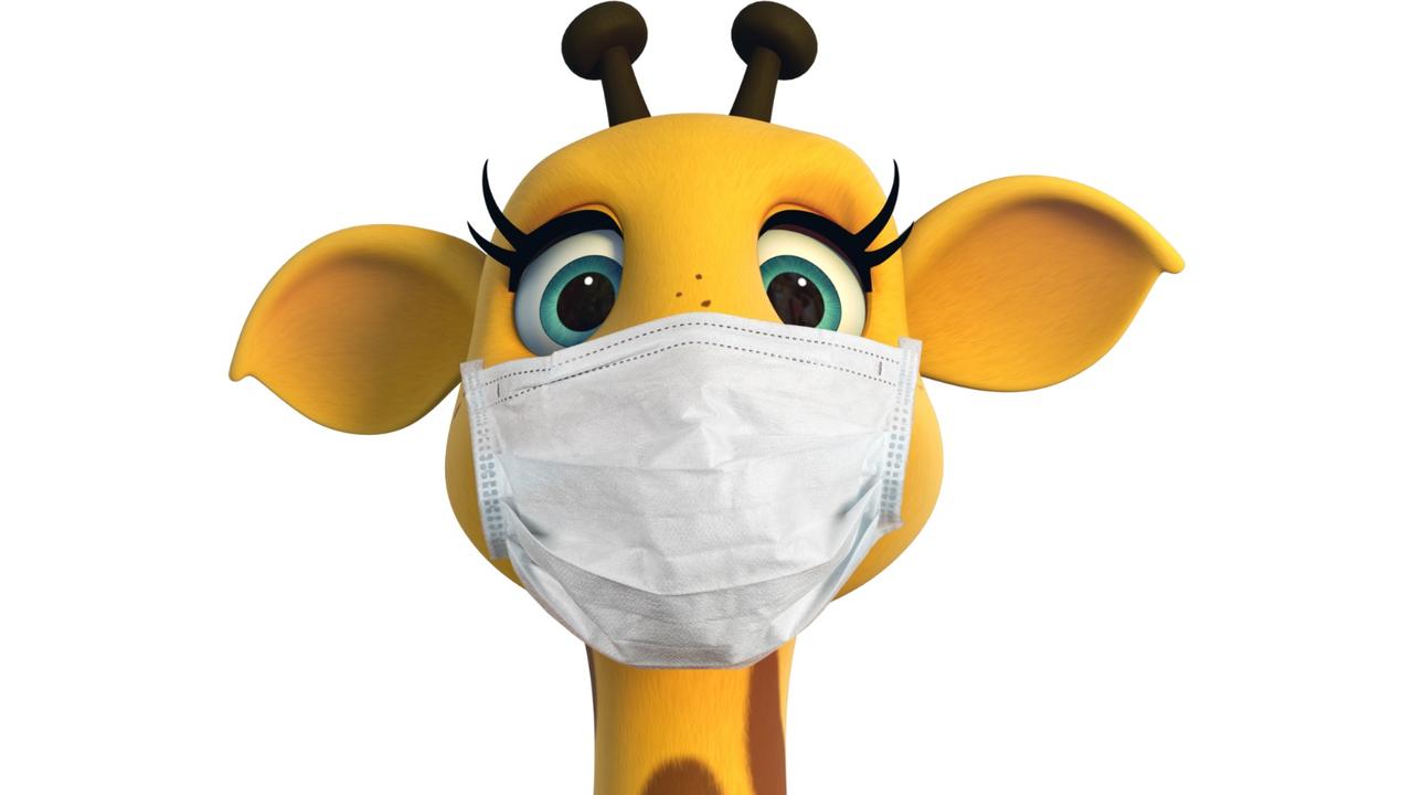 Healthy Harold has had some special masks made for his giraffe face to protect him from Covid-19. Picture: Life Education